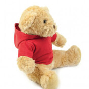 Teddy + Hoodie