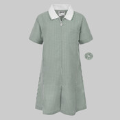 Zeco A-Line Gingham Dress - Green