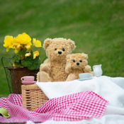 Classic jointed teddy bear