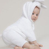Rabbit all-in-one